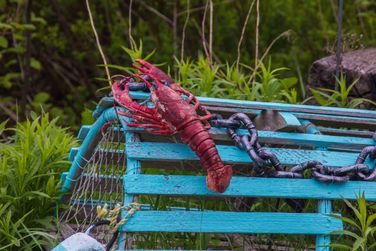 Lobster trap